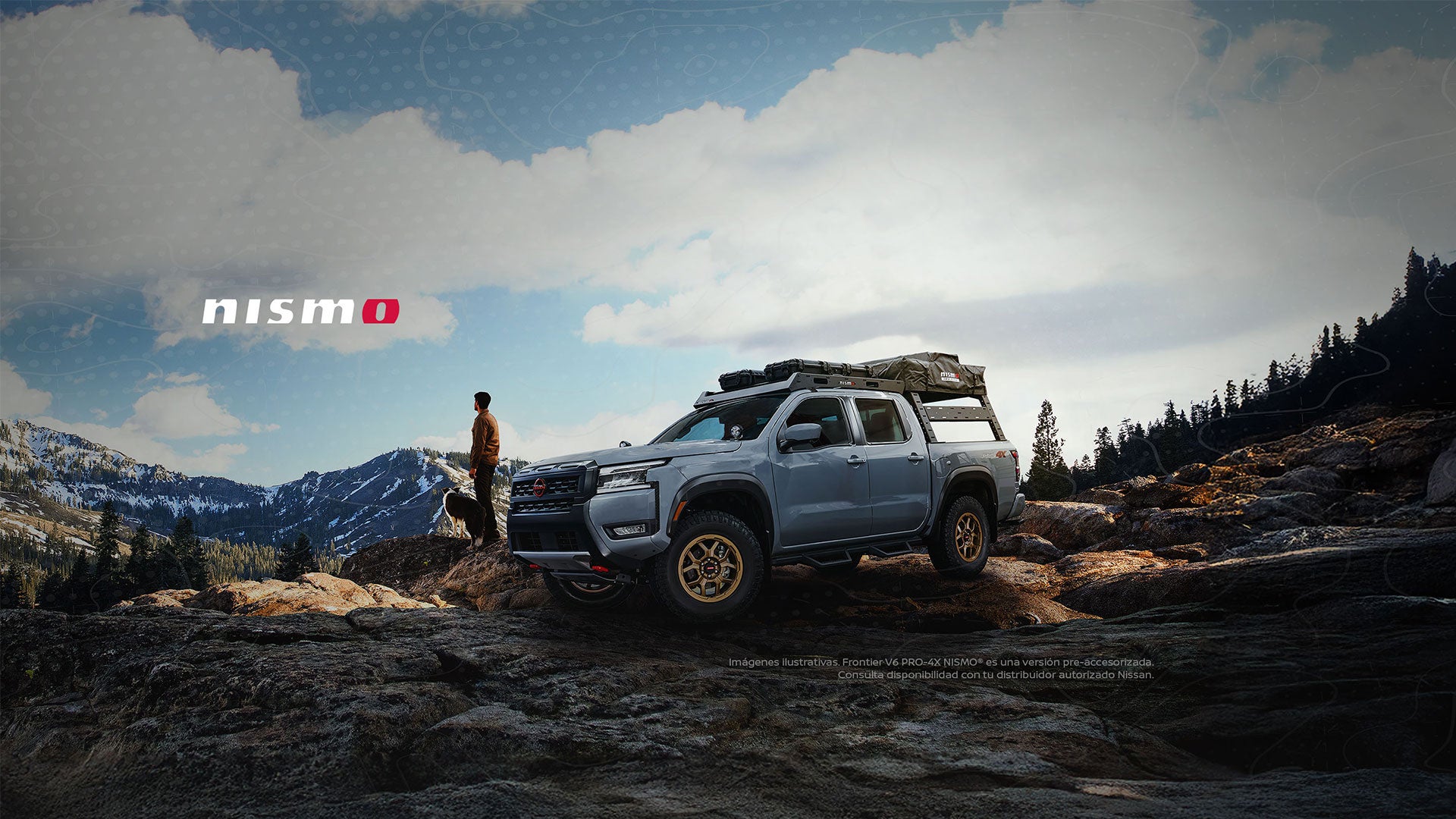 Nissan Frontier V6 PRO-4X Banner
